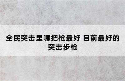 全民突击里哪把枪最好 目前最好的突击步枪